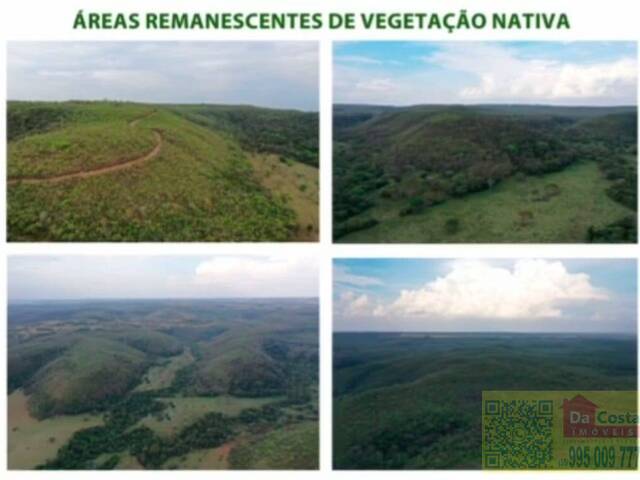 #FA0032 - Fazenda para Venda em Nioaque - MS - 2