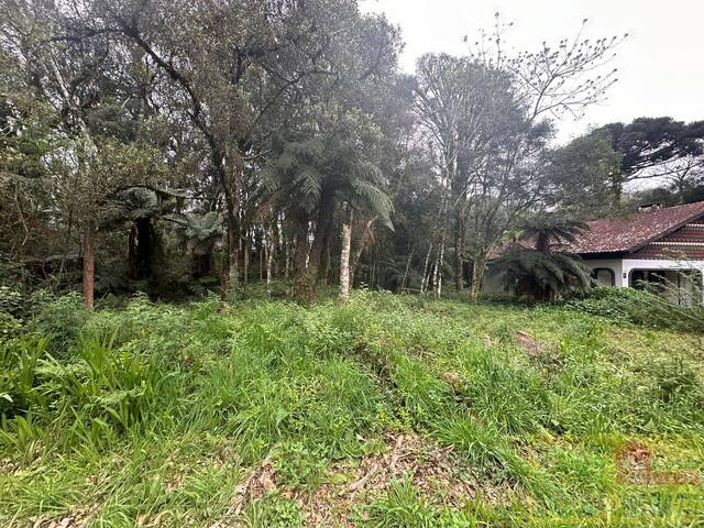 Terreno para Venda em Gramado - 4