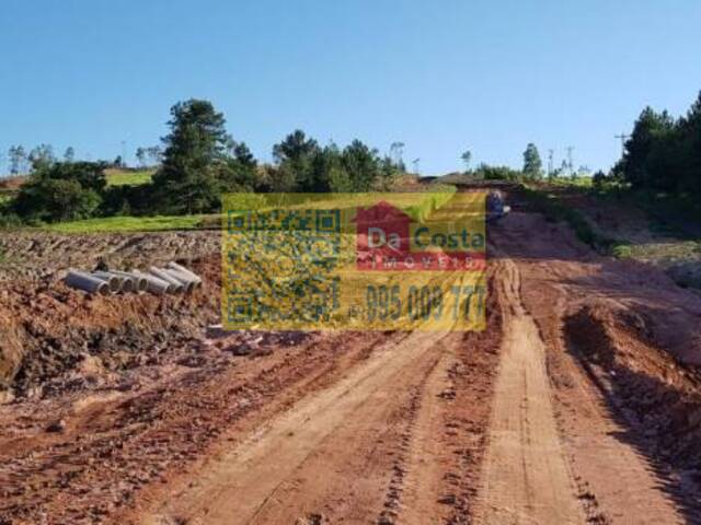 #TE0032 - Terreno para Venda em Araricá - RS - 3