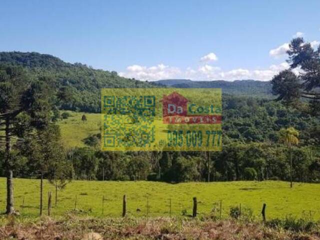 #FA0001 - Fazenda para Venda em Igrejinha - RS - 3