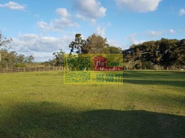 Venda em Porto Palmeira - Araricá