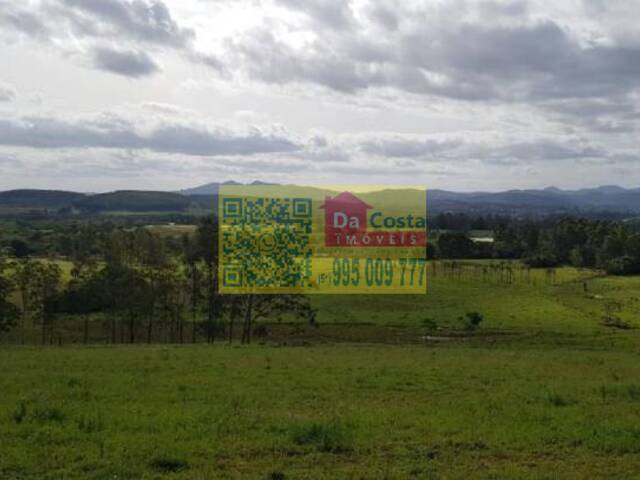 Fazenda para Venda em Sapiranga - 5