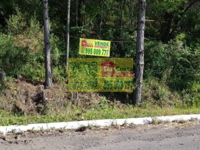 Venda em Zona Industrial - Campo Bom