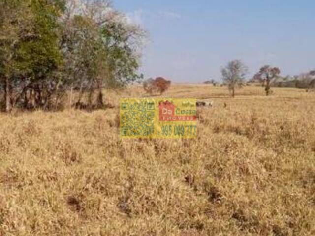 Fazenda para Venda em Camapuã - 4