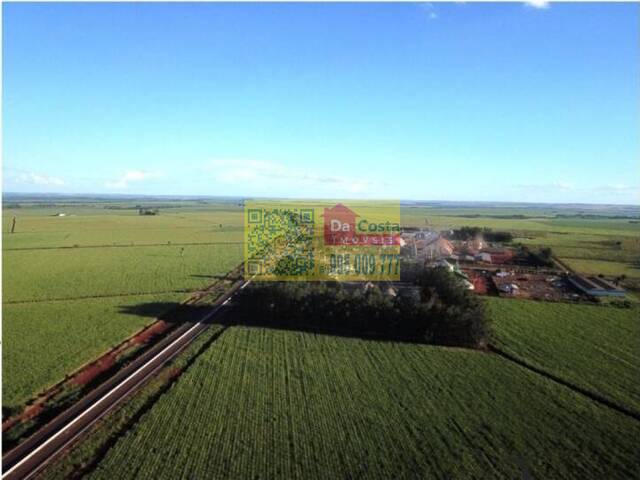 #FA0007 - Fazenda para Venda em Dourados - MS - 3