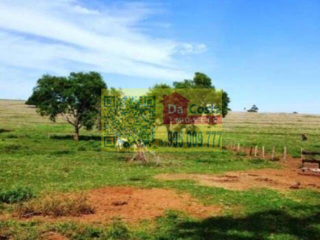 #FA0009 - Fazenda para Venda em Bataguassu - MS - 1