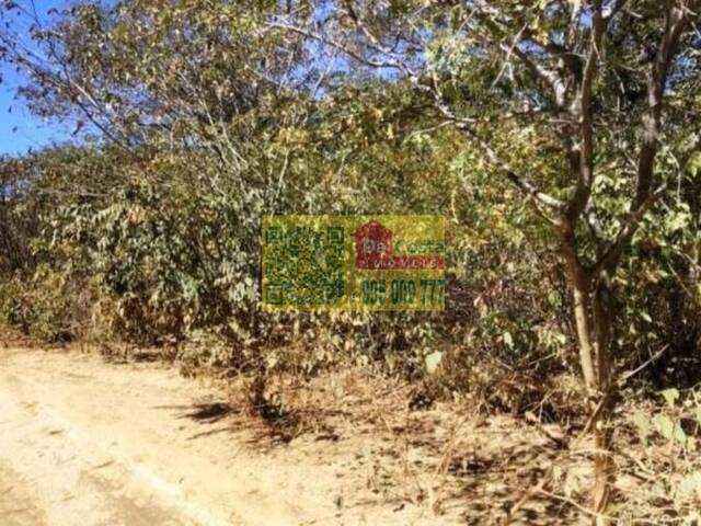 #FA0011 - Fazenda para Venda em Palmeira do Piauí - PI - 3