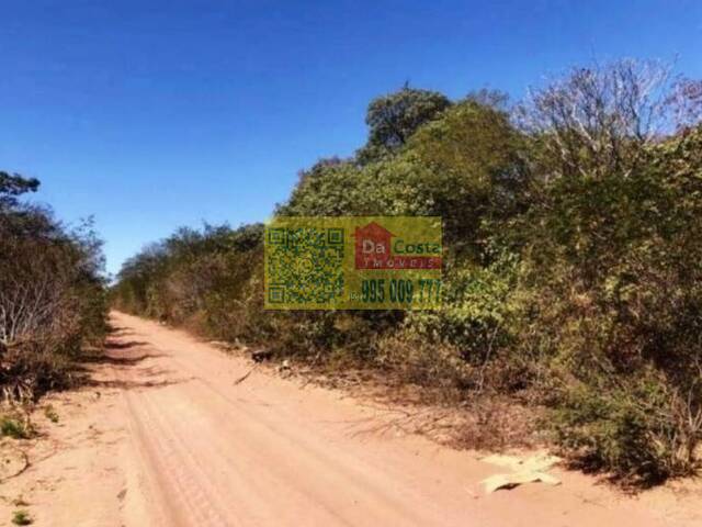 Fazenda para Venda em Palmeira do Piauí - 5